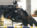 Jumping Indoor Maastricht 